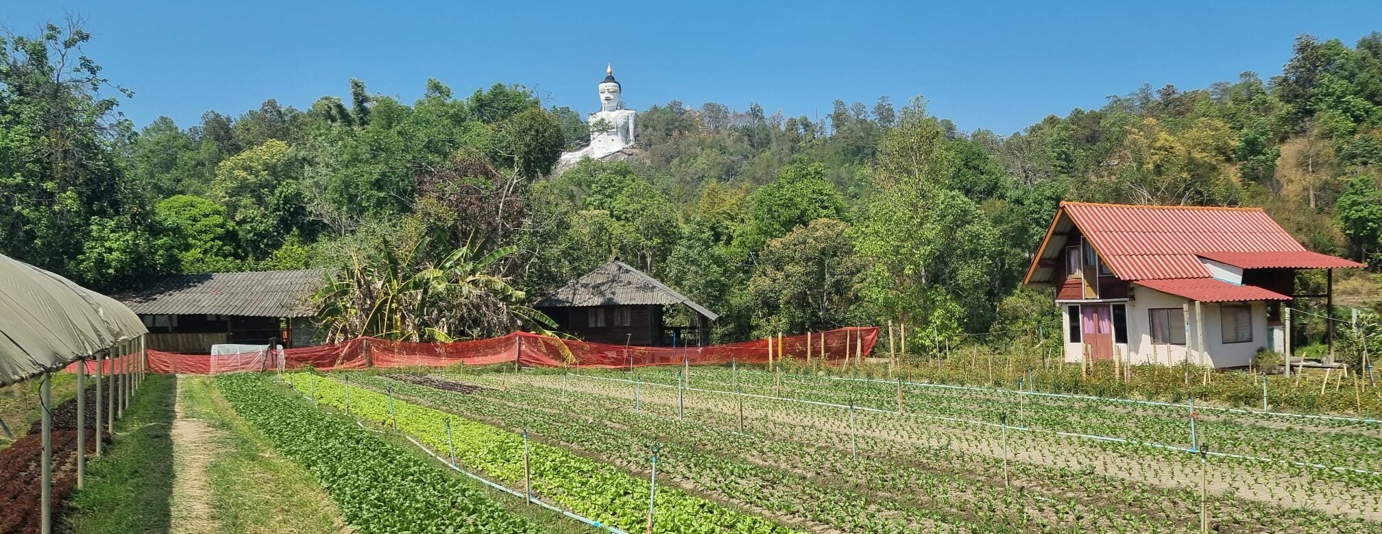 Day 13 – Chang Mai