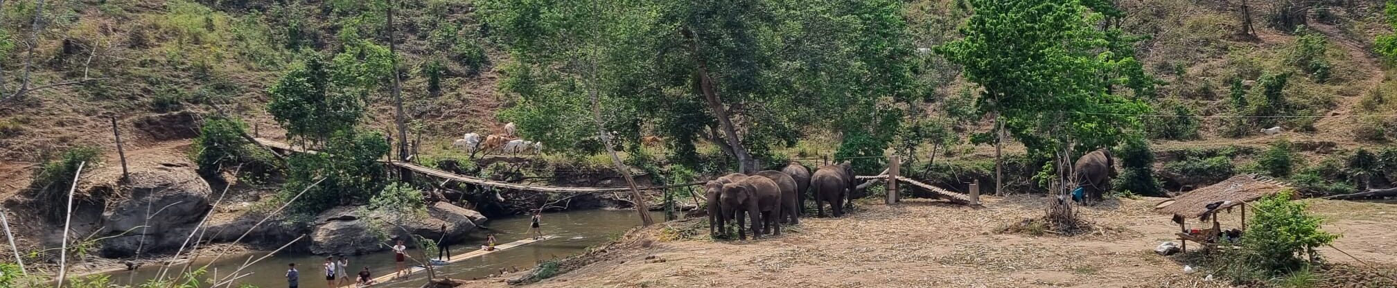 Day 21 – visit to an elephant sanctuary