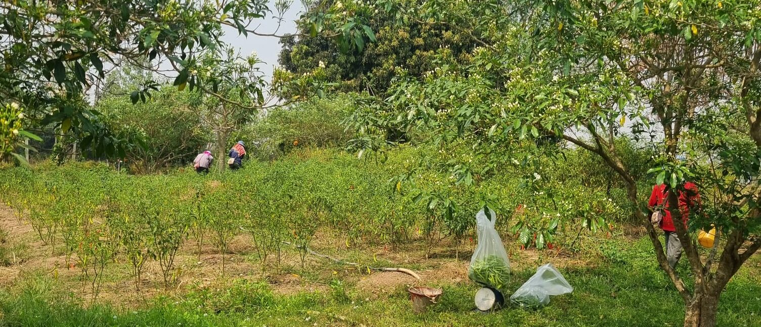 Day 18 – Chang Rai