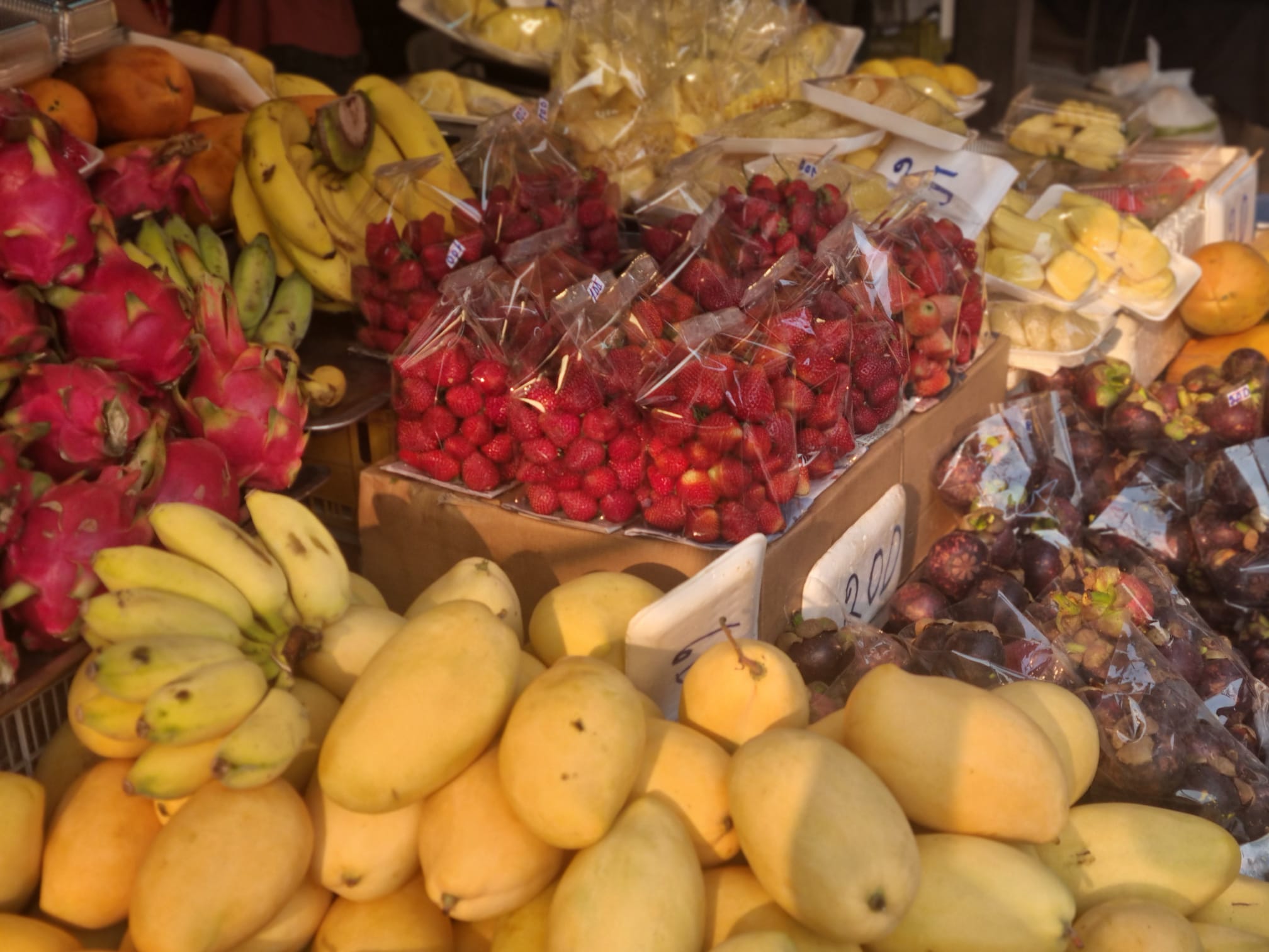 Day 14 – Chang Mai