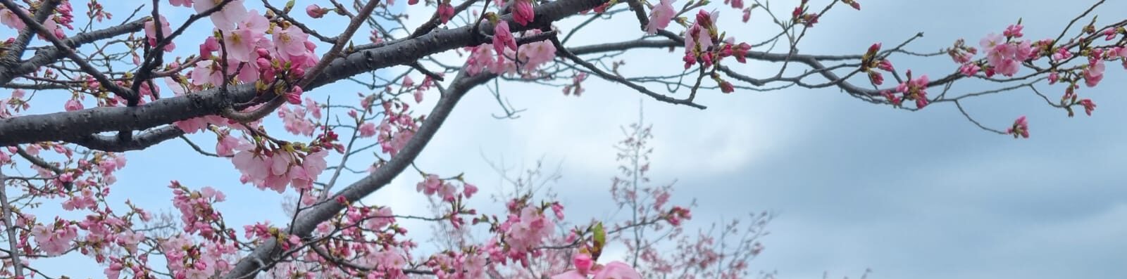 Day 31 – visiting Kanazawa